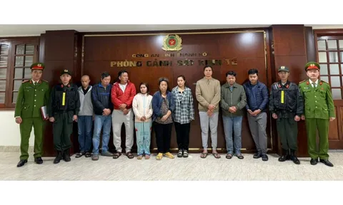 Triệt phá đường dây sản xuất thuốc và thực phẩm chức năng giả quy mô lớn