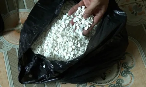 Triệt phá đường dây sản xuất thuốc "tăng cân nhanh" từ bột ngô, bột nếp và tân dược