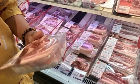 Giá heo hơi hôm nay 10/2: Điều chỉnh giảm rải rác, giao dịch phổ biến trong vùng giá 71.000 - 75.000 đồng/kg