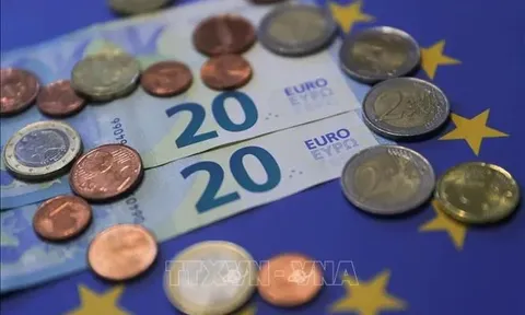 Nghị viện châu Âu “bật đèn xanh” cho đồng euro kỹ thuật số