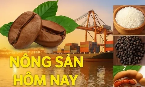 Giá nông sản hôm nay 13/2/2026: Giá cà phê bật tăng mạnh, hàng Việt 'nắm quyền dẫn dắt'; Thỏa thuận thương mại Mỹ-Ấn Độ không hẳn là thỏa thuận