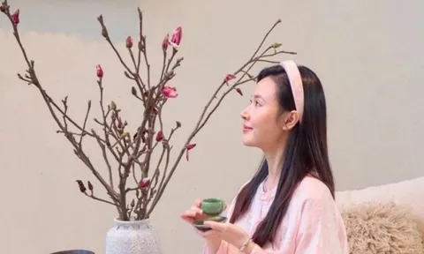Khoảnh khắc đời thường của Midu các sao Việt trong dịp Tết