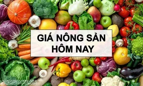 Giá nông sản hôm nay 15/2/2026: Giá cà phê kỳ vọng tăng, thị trường có thật 'dư cung'? Trung Quốc 'mở toang cửa' cho hàng hóa châu Phi