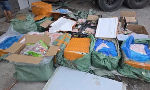 Tiêu hủy hơn 28 tấn thực phẩm đông lạnh không rõ nguồn gốc