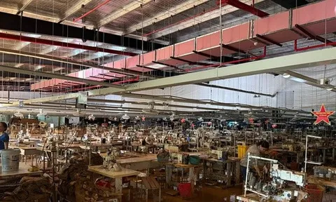 Chuyện chưa kể của các doanh nghiệp bảo hiểm giữa tâm bão năm Ất Tỵ 2025