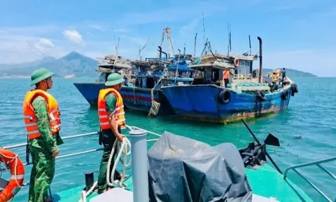 Đà Nẵng thông qua chính sách hỗ trợ phát triển thủy sản, nỗ lực khắc phục ‘thẻ vàng’ IUU