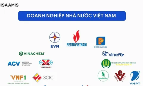 Nhiều doanh nghiệp nhà nước vào diện cơ cấu lại vốn
