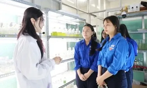 Chiến lược then chốt nâng tầm giáo dục Việt Nam