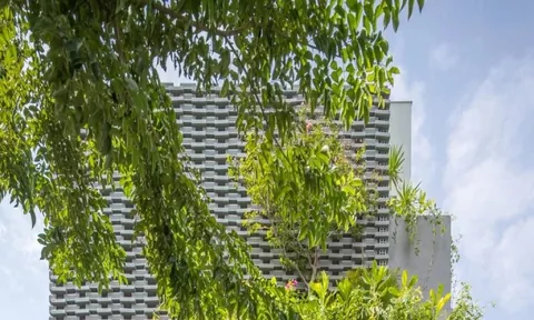 Thiết kế nhà ống với hệ vỏ nhiệt đới