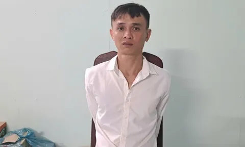 Bắt đối tượng cướp tài sản khiến người phụ nữ đi xe máy tử vong