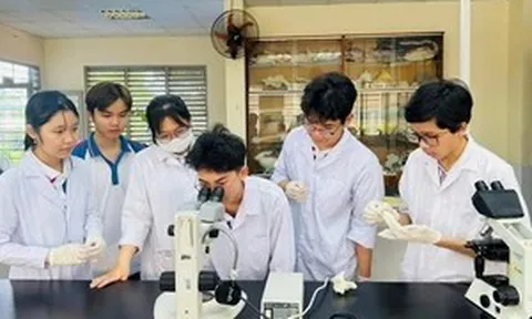 'Nâng chất' giáo viên: Động lực từ chính sách bền vững