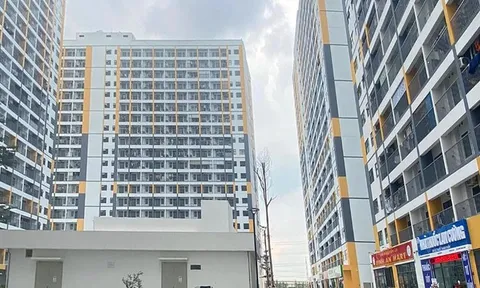 Cảnh báo thủ đoạn lừa đảo khi mua nhà ở xã hội