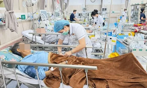 Bệnh nhân viêm tụy cấp tăng mạnh dịp Tết, 60% do uống rượu bia 0