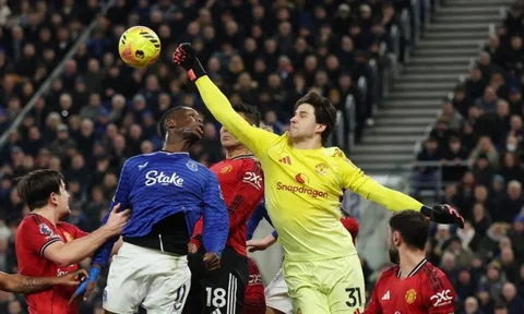 Lammens, Cunha nhận mưa lời khen từ fan MU