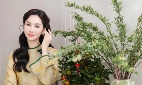 Hoa hậu Đặng Thu Thảo trang hoàng nhiều loại cây, hoa hút tài lộc ngày Tết