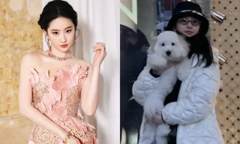 Lưu Diệc Phi để mặt mộc khi đăng ảnh 'sống ảo', nhan sắc hiện tại được khen trẻ như gái đôi mươi