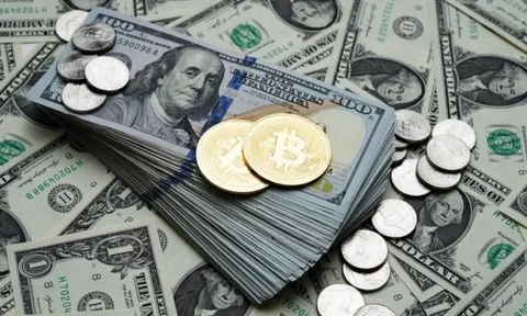 Tỷ giá ngoại tệ, tỷ giá USD/VND hôm nay 26/2: Đồng USD dao động trong biên độ hẹp