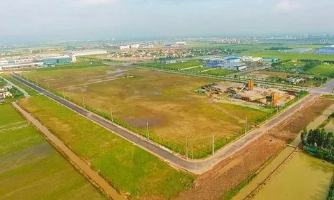 Lập đường dây nóng tiếp nhận phản ánh vi phạm đất đai