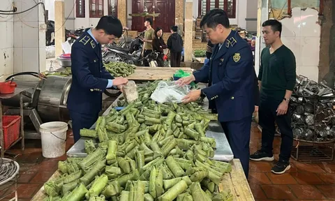 Khởi tố chủ cơ sở sản xuất giò chả sử dụng hàn the, thu giữ hơn 1,2 tấn thực phẩm vi phạm