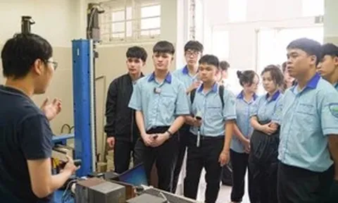 Quản trị giáo dục bằng dữ liệu: Vì sao cần đối sánh theo nhóm?