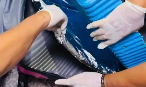 Triệt phá vụ vận chuyển cocain qua đường hàng không