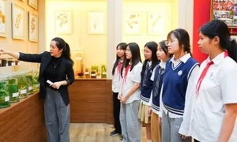 Phát triển toàn diện con người: Trục xuyên suốt của chiến lược giáo dục