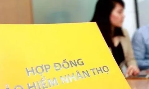 Mất trắng quyền lợi 200 triệu bảo hiểm nhân thọ vì chậm đóng phí 4 tháng: Người phụ nữ kiện công ty bảo hiểm vì đột nhiên nhân viên không đến nhà thu phí