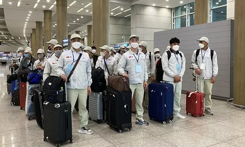 Tạm dừng hoạt động đưa người lao động đi làm việc tại khu vực Trung Đông