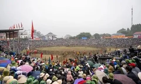 Khai mạc Lễ hội chọi trâu cổ nhất Việt Nam