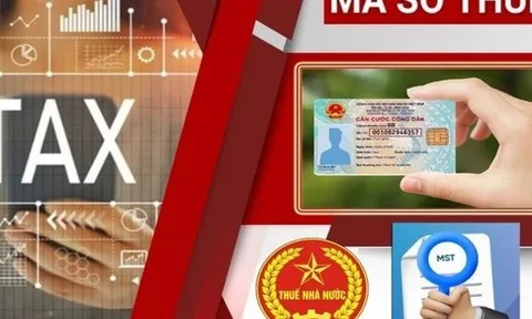 Nóng: Thuế TP Hà Nội có thông báo quan trọng về mã số thuế cá nhân