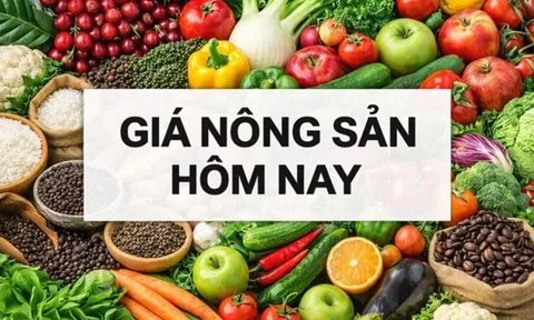 Giá nông sản hôm nay 5/3/2026: Giá cà phê trong nước vẫn thuộc vùng lợi nhuận an toàn; Tòa án Mỹ có yêu cầu mới về thuế quan của Tổng thống Trump