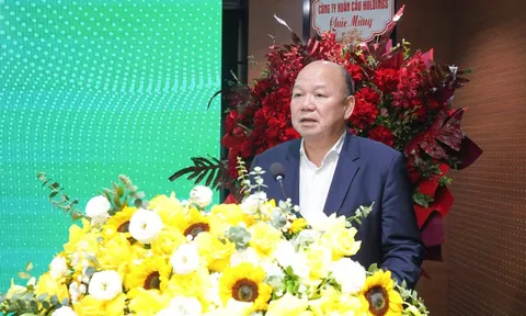 Ông Tô Dũng làm Chủ tịch công ty con của Vinaconex, cổ phiếu  lập tức tăng trần 15%