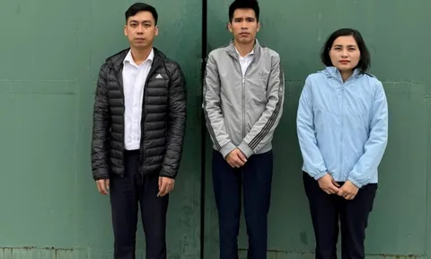 Bắt tạm giam 3 cán bộ ngân hàng vì làm giả hồ sơ, tiếp tay lừa đảo