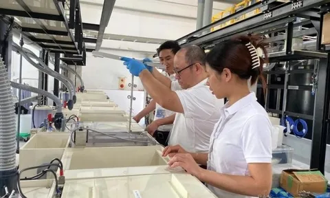 S&P Global: Ngành sản xuất Việt Nam tâm thế tích cực đầu năm mới