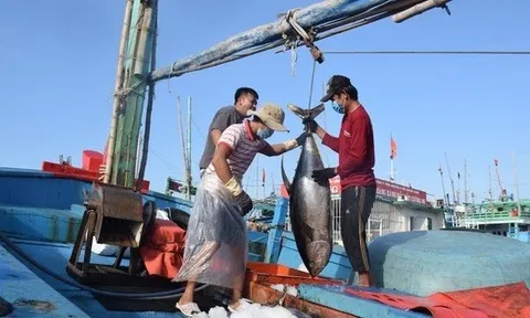 Nga, EU và Nhật Bản đua nhau