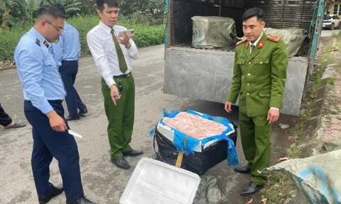 Hưng Yên: Thu giữ 600 kg nầm lợn đông lạnh không rõ xuất xứ