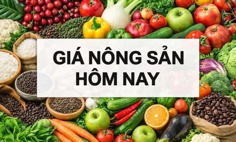 Giá nông sản hôm nay 11/3/2026: Giá cà phê khó lường, nguồn robusta lớn sắp ra hàng; Dầu Nga ở đâu khi thị trường năng lượng toàn cầu rung chuyển?