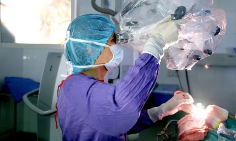 Chi tiền tỷ ra nước ngoài chữa bệnh, cuối cùng vẫn về 'cầu cứu' bác sĩ Việt