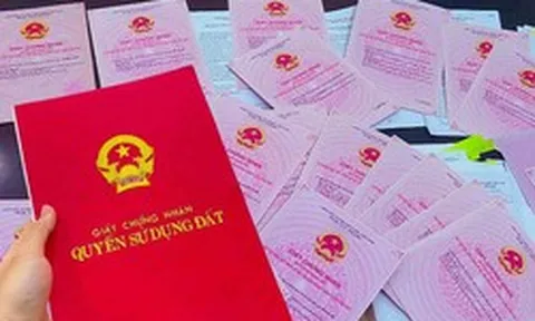 Phát mại đất thế chấp ngân hàng để thu nợ 8 tỷ, chủ nợ ngỡ ngàng vì xuất hiện ngôi nhà không ai hay biết