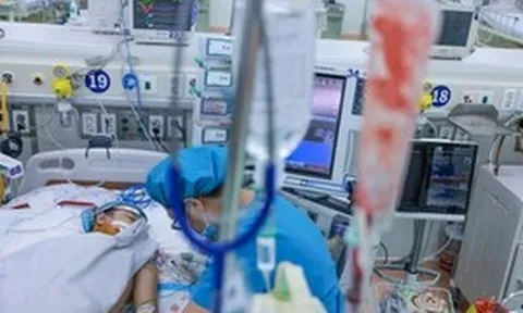 Cảnh báo nguy cơ biến chứng sốt xuất huyết Dengue khi nhập viện muộn