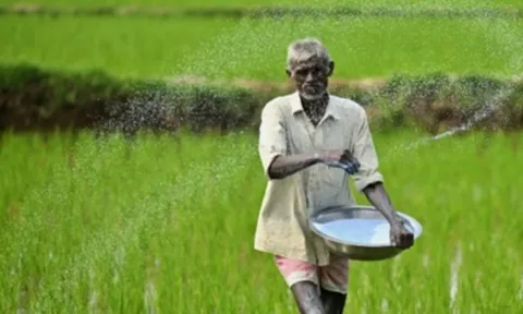 Ấn Độ kêu gọi Trung Quốc nới hạn chế xuất khẩu urê vì nguyên nhân này