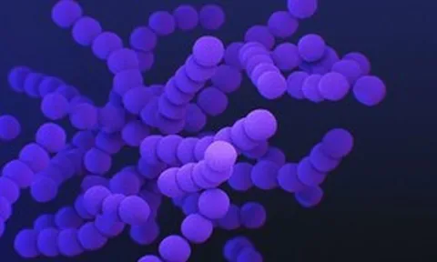 Sốt cao kèm rét run nhiều ngày, cô gái phát hiện mắc bệnh nguy hiểm