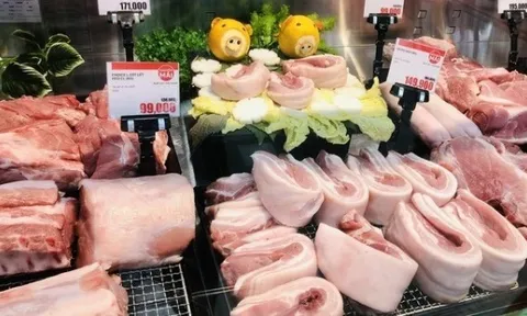 Giá heo hơi hôm nay 18/3: Đồng loạt đi lên, dao động trong khoảng 62.000 - 67.000 đồng/kg