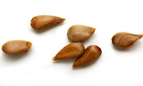 Loại quả ngon mắt nhưng chứa "chất kịch độc", mâm cơm nhà nào cũng có mà không hay