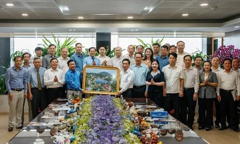 Ban Thường vụ Tỉnh ủy Thanh Hóa đến thăm và làm việc tại Tập đoàn Sao Mai