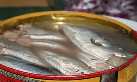 Việt Nam sở hữu loại cá "tốt nhất thế giới", giá bình dân, ngoài chợ bán đầy