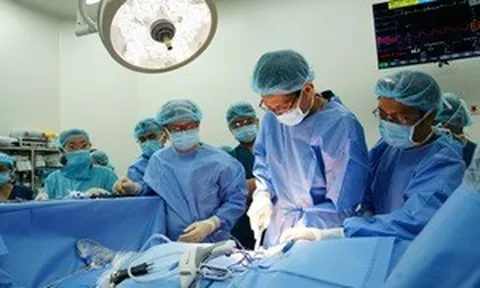 Bệnh viện Nhi Đồng 1 thực hiện thành công ca ghép thận đầu tiên