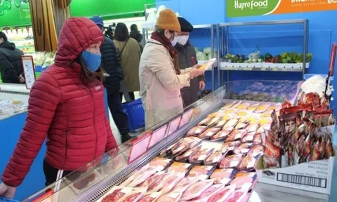 Giá heo hơi hôm nay 21/3: Tăng rải rác, cả nước giao dịch quanh mức 65.000 – 69.000 đồng/kg