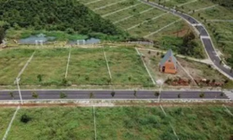 Chuyển mục đích một phần đất không phải tách thửa