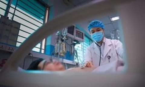 Sốt xuất huyết Dengue và những dự định dở dang bên giường bệnh